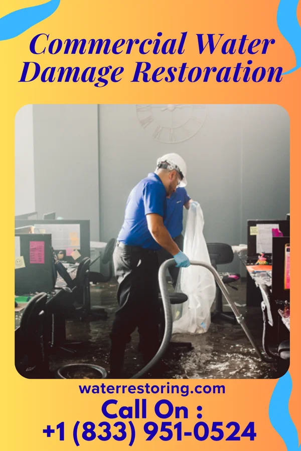 Commercial Water Damage Restoration in Argenta, MT