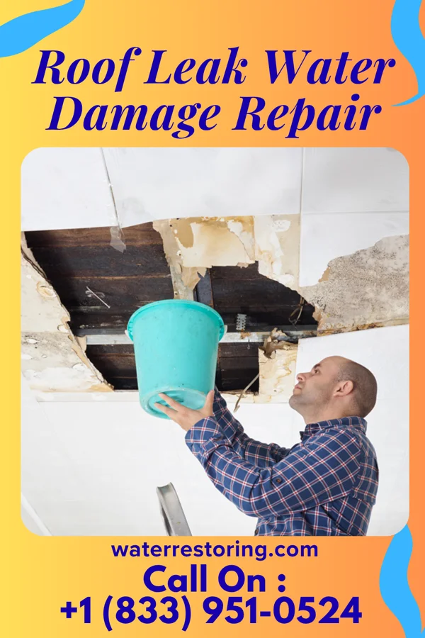 Roof Leak Water Damage Repair in Argenta, MT